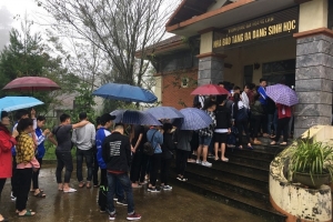 Thực tế chuyên môn 