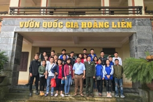 Thực tế chuyên môn