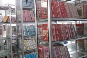 Nhật ký thủ thư