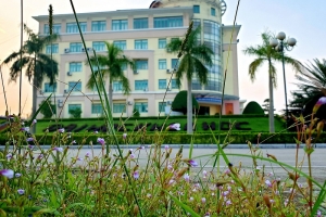 Cảm xúc dung dị về hạnh phúc nghề